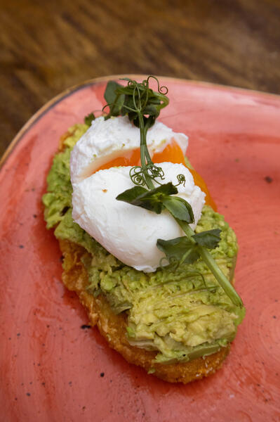 avo and hash one