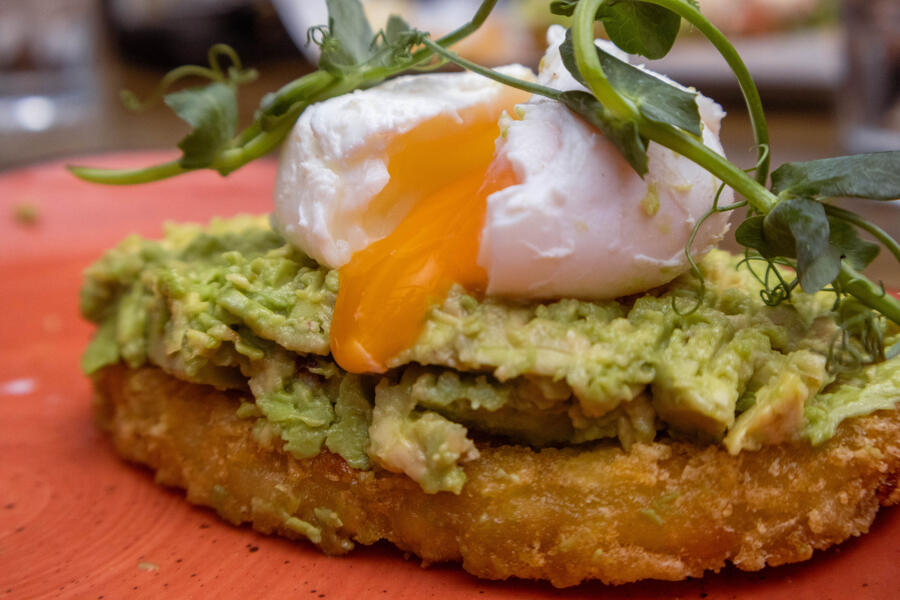 avo and hash two