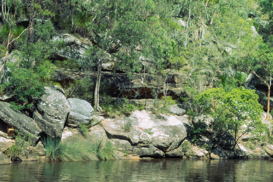 jellybean pool two